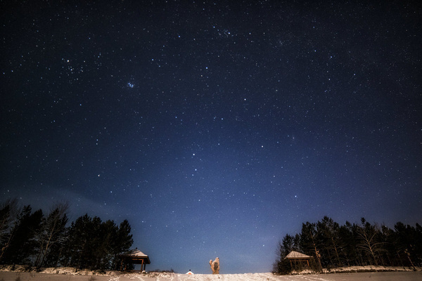 北极星：璀璨星辰引领前行  第2张