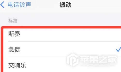 苹果15怎么调震动_苹果15调震动方法  第6张