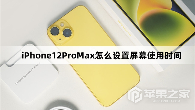 iPhone12ProMx怎么设置屏幕使用时间_iPhone12ProMx设置屏幕使用时间方法  第1张