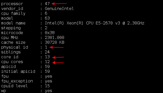 AMD Ryzen 9 7900：游戏世界得力助手的秘密武器  第1张