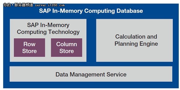 AMD EPYC™ 9454 EPYC&trade; 9454：超强多核性能和高效内存管理带来的惊艳表现  第6张