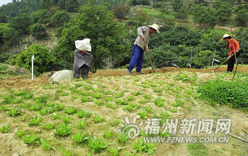 千万农民困境！qq农场突发无法登陆事件引发全球热议  第2张