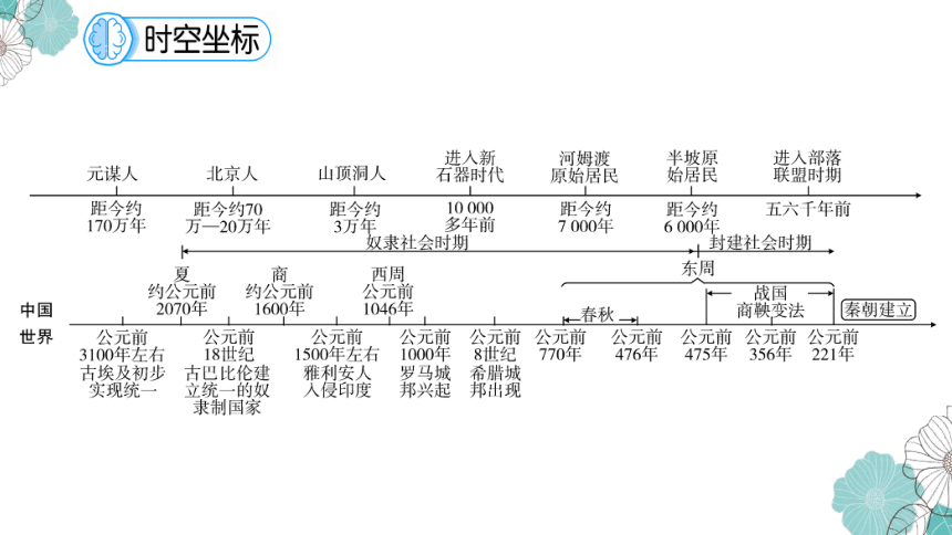 惊人研究揭秘：诺亚传说真相大揭秘