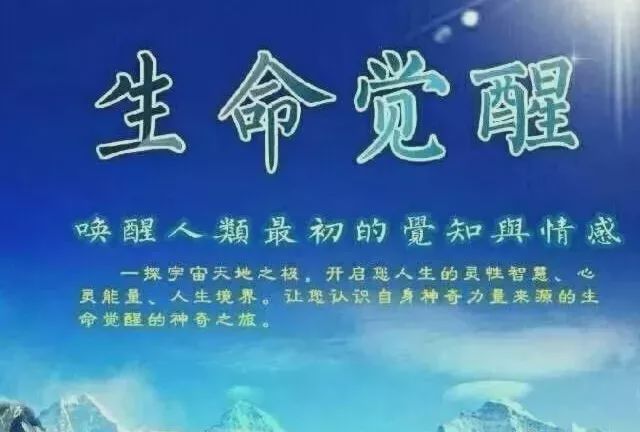 穿越内心迷茫，抵挡外部压力，寻找真理的奇幻之旅  第3张