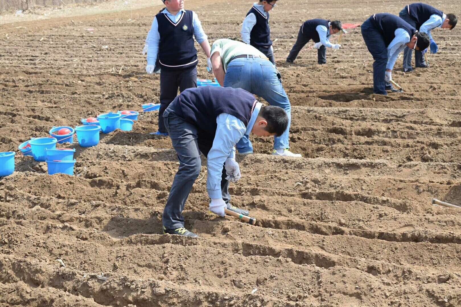 【农场主日记】种植乐趣无限，与好友共享农场盛宴  第3张