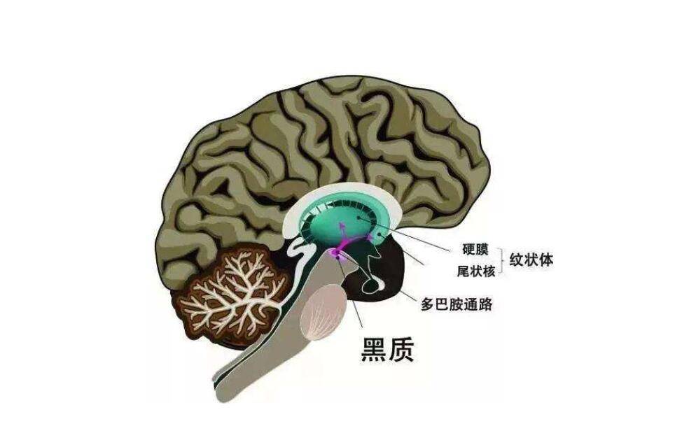 DNF黑硬物质大揭秘：打怪不仅仅为装备强化  第4张