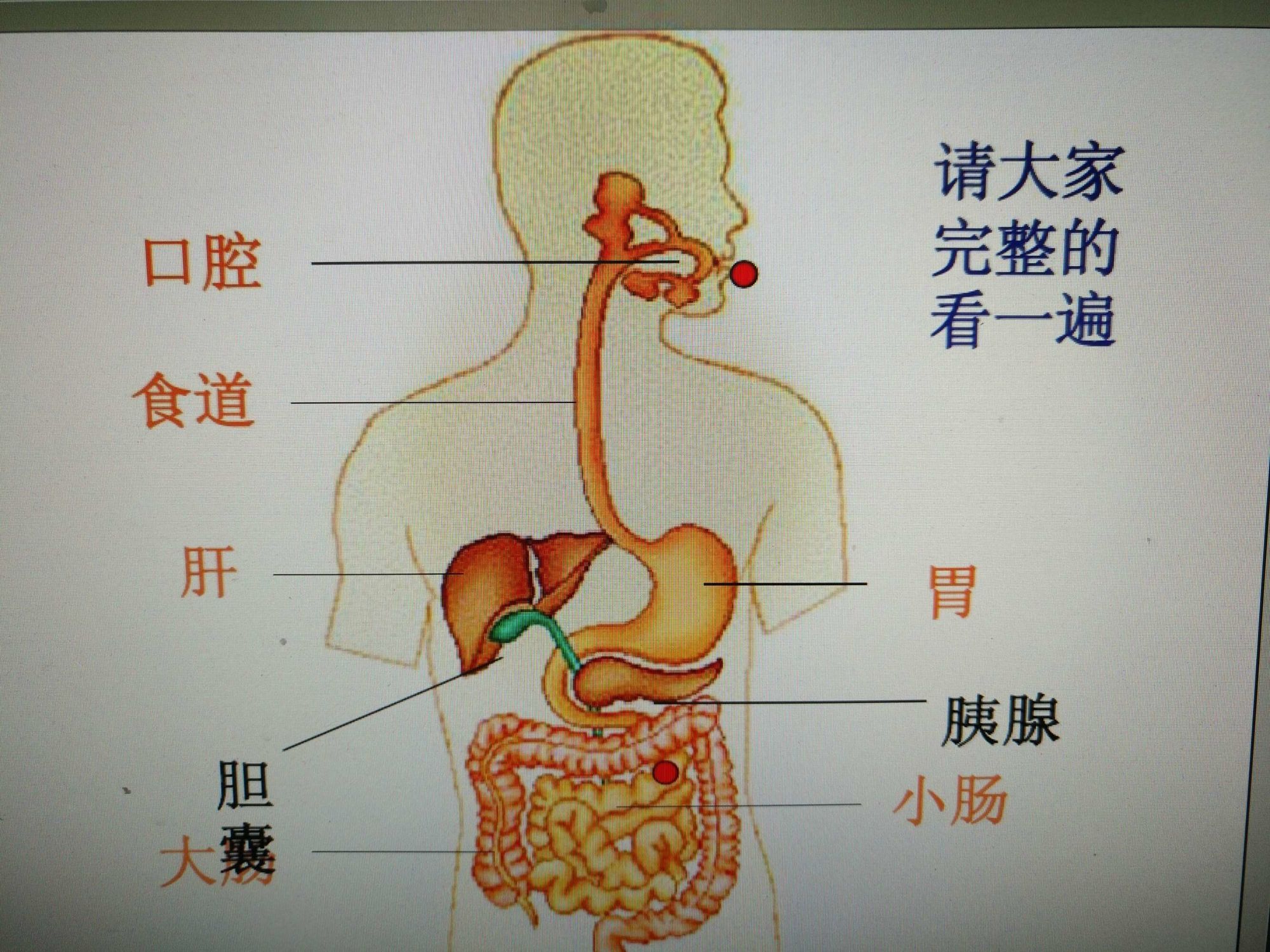 辐3新维加斯攻略大揭秘，快速旅行、生存技巧一网打尽  第1张