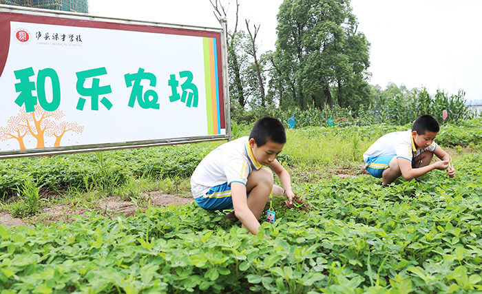 种田还是养殖？QQ农场评测对比告诉你最佳选择  第1张