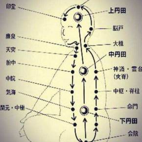 散打加点：穴位技巧大揭秘  第2张