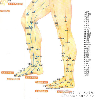 经脉模拟器：激活身体自愈力，告别疼痛困扰  第2张