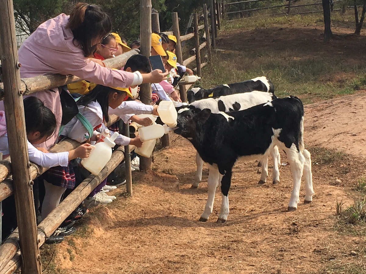 城市中心农场牧场餐厅，体验农业乐趣，亲近动物乐趣，尽享美食盛宴  第1张