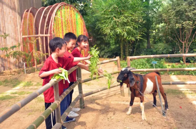 城市中心农场牧场餐厅，体验农业乐趣，亲近动物乐趣，尽享美食盛宴  第2张