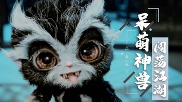 惊！普通小猫羽化成神兽，武林人士热议不已  第2张