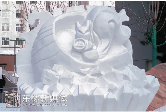 冰雪节：校长亲身体验，雪雕展览惊艳，冰上运动乐趣无限  第1张