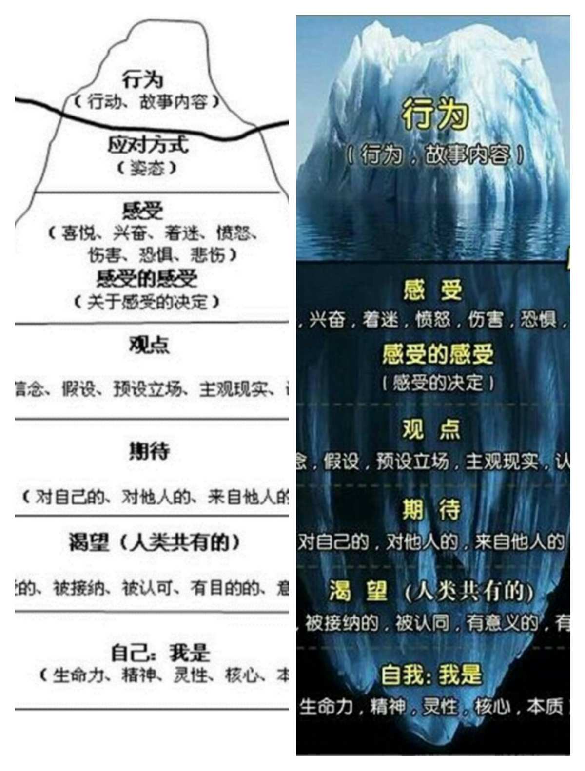 情绪的奥秘：为什么人类会有情绪？  第2张