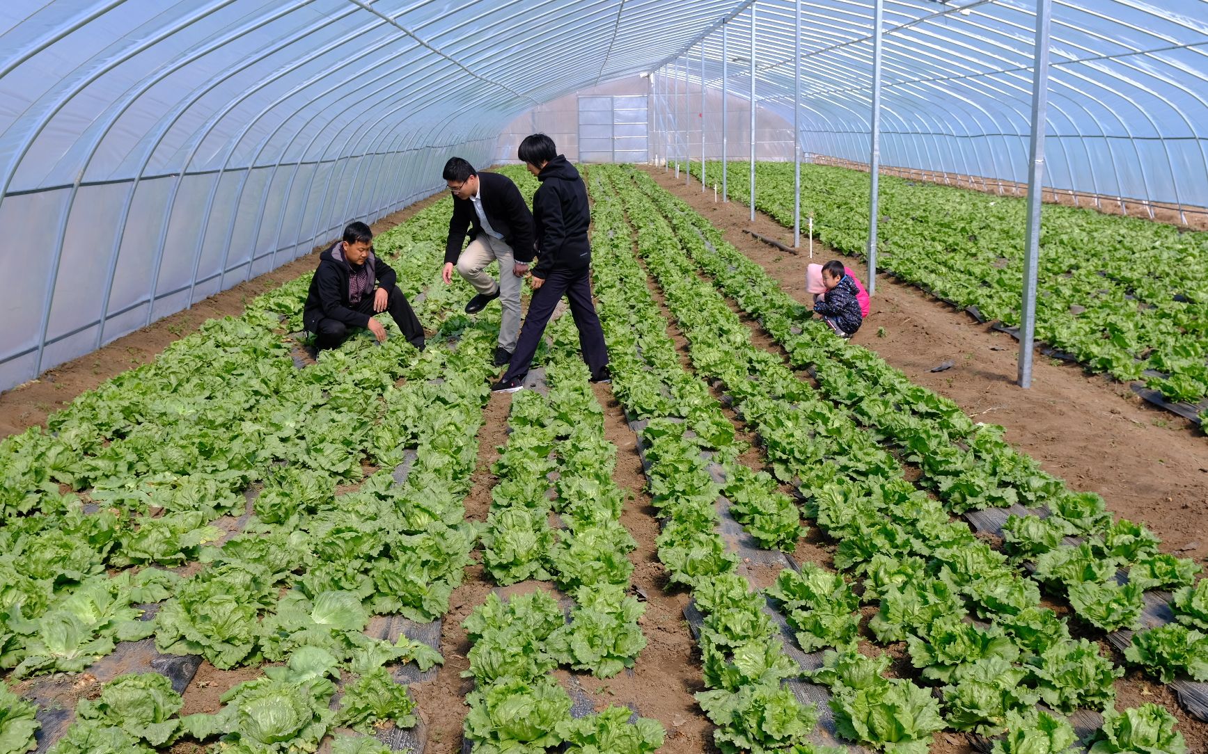 种植农场，生活不再枯燥  第1张