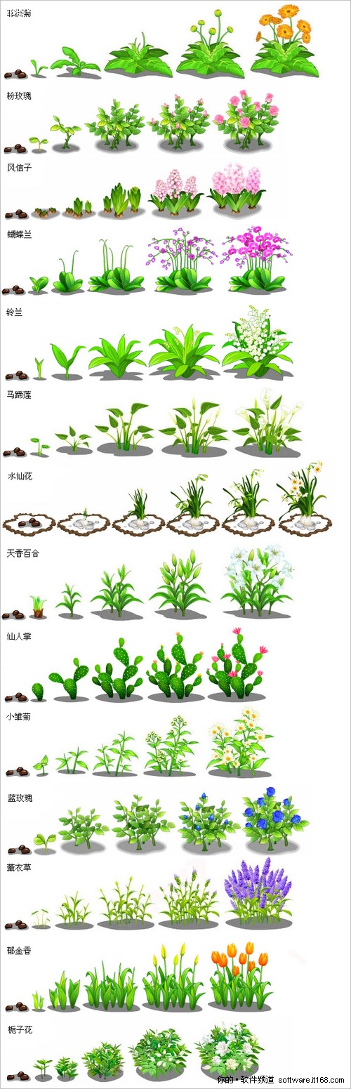 qq农场升级攻略大揭秘，升级速度翻倍不是梦  第3张