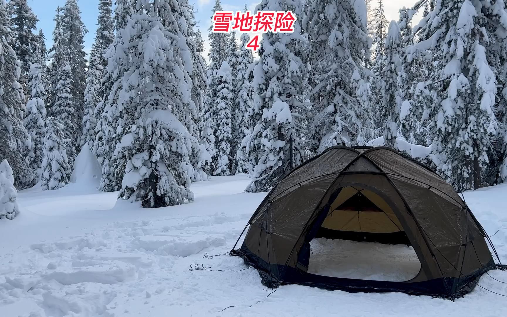 极北地区探险攻略：三招让你在冰天雪地中游刃有余  第4张