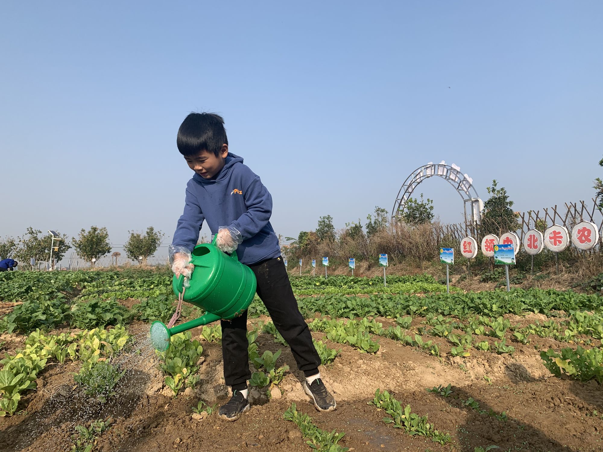 农业界新宠！三合一超强农场助手，智能种植、精准施肥带来高产高质  第5张