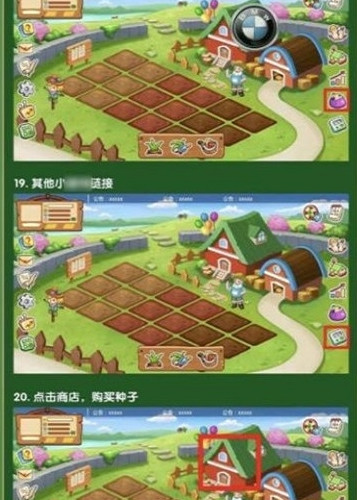 偷菜游戏攻略：种植技巧大揭秘  第3张