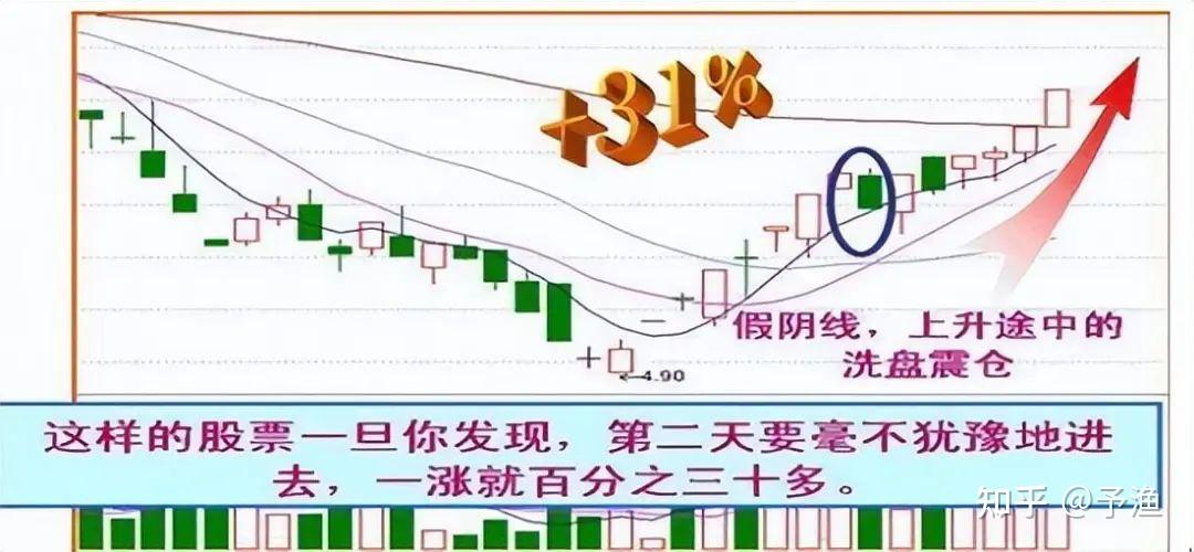 浣熊行动攻略：如何抓住股市机会，规避风险  第1张