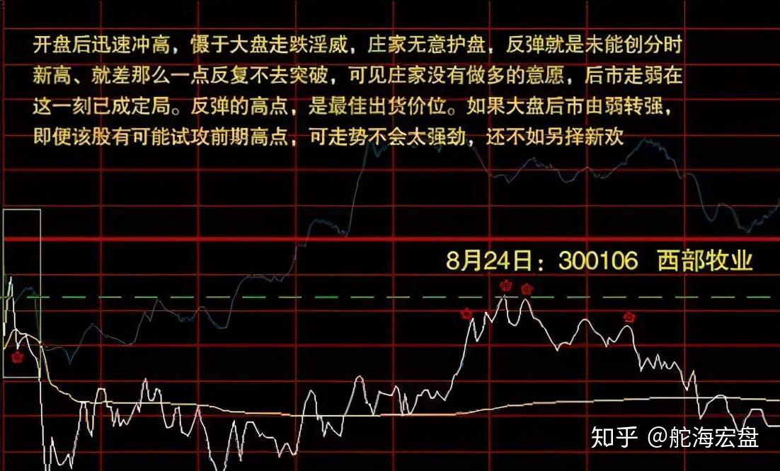 浣熊行动攻略：如何抓住股市机会，规避风险  第6张