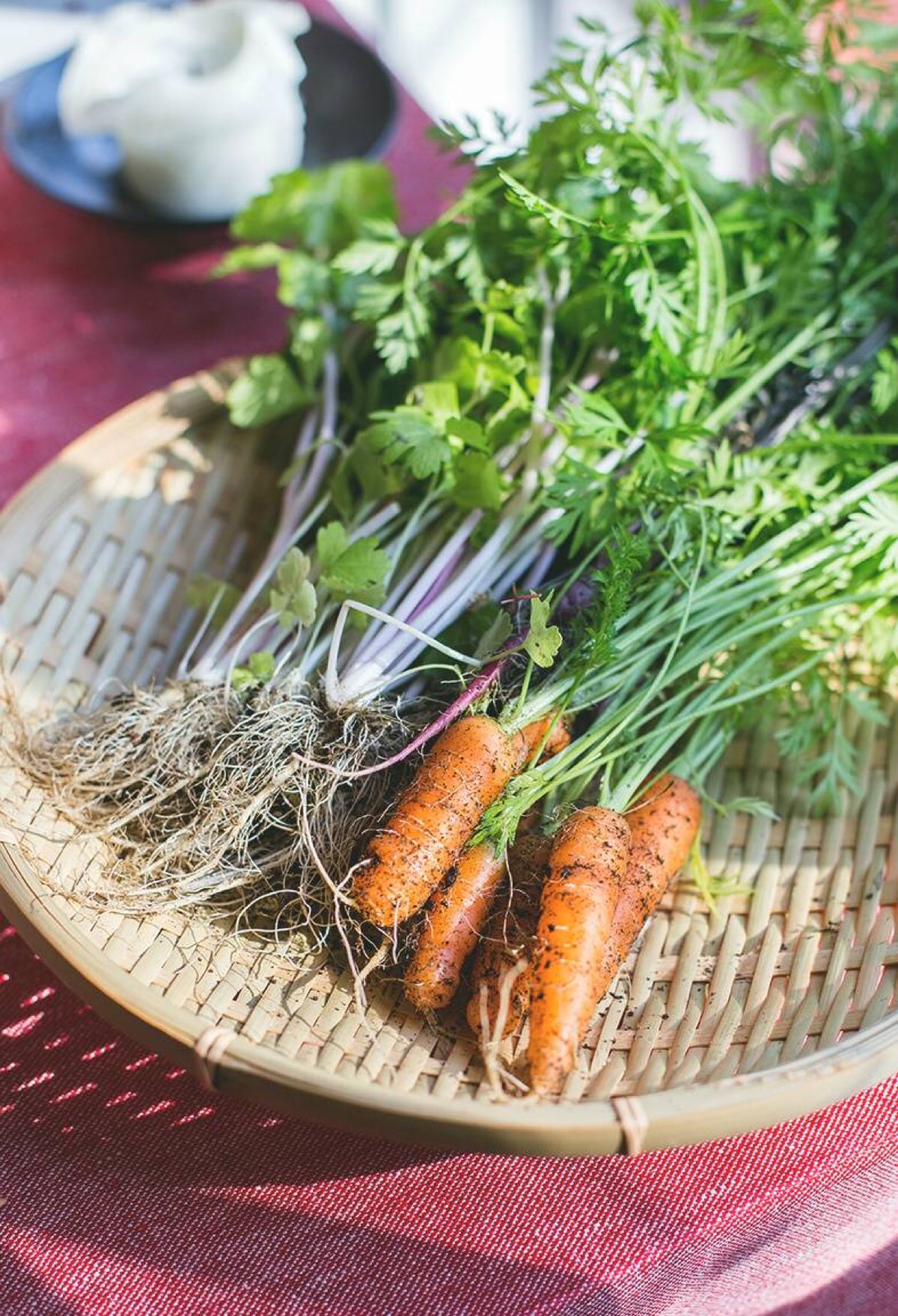 胡菜三国小分队：领袖胡萝卜 VS 智囊芹菜，谁才是真正的王者？  第2张