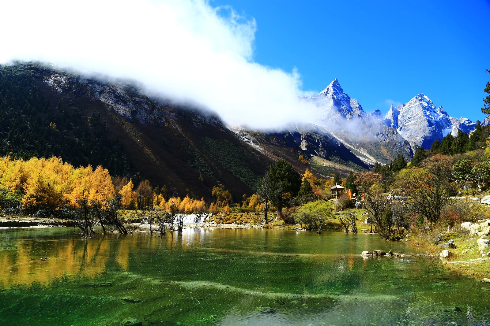 多西 旅行攻略：精心策划，与当地人交流，享受美食