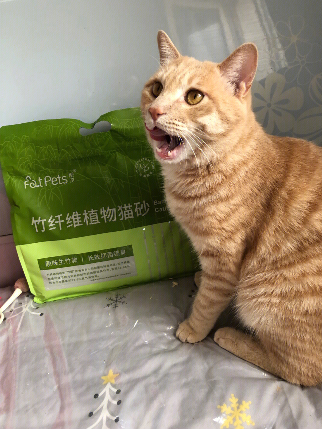 猫奴福利！斑斑猫A款 vs 斑斑猫B款，谁更香更给力？  第4张