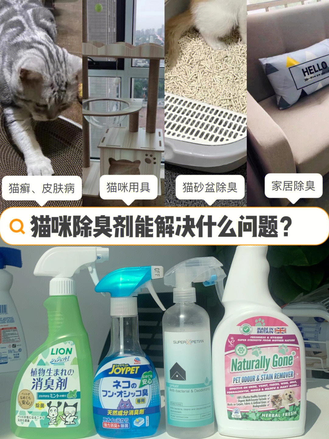 猫奴福利！斑斑猫A款 vs 斑斑猫B款，谁更香更给力？  第5张