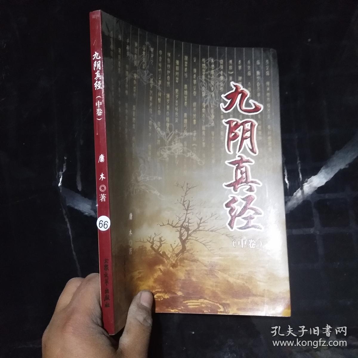 九阴真经修炼秘籍，掌门传授经验