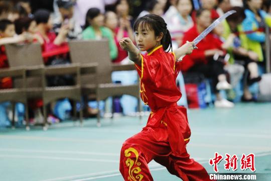 揭秘功夫小子百宝卷：拳脚功夫让你身心更强大  第3张