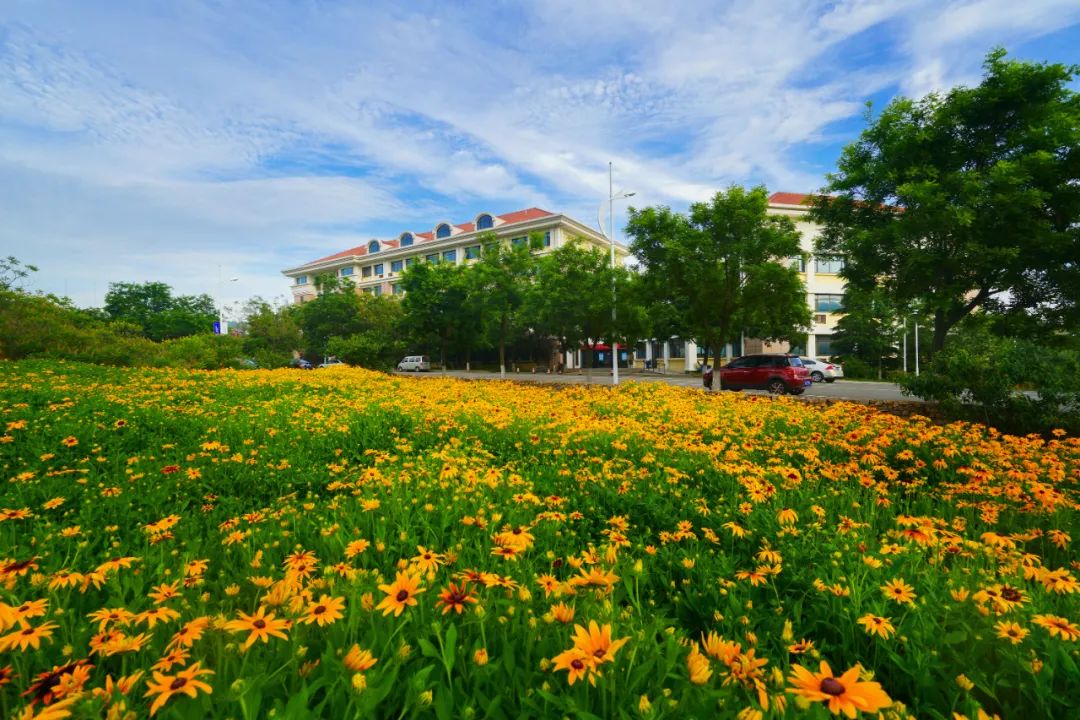 采药师的探险之旅：花海宝藏引发的惊喜与收获  第3张