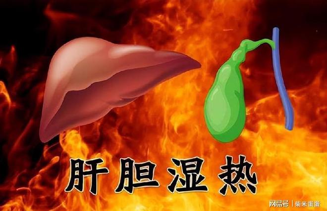 弓弩爱好者的必备神器！弩子弹药App：射击新体验，狩猎新乐趣  第2张