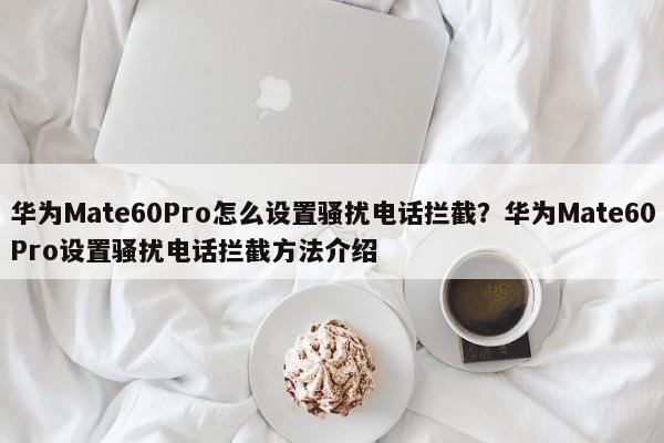 华为Mate60Pro怎么设置骚扰电话拦截？华为Mate60Pro设置骚扰电话拦截方法介绍  第1张