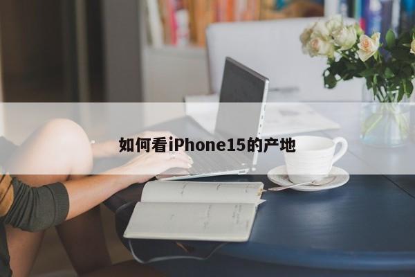 如何看iPhone15的产地