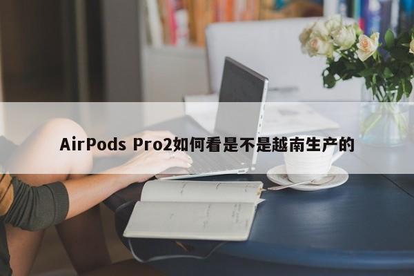 AirPods Pro2如何看是不是越南生产的